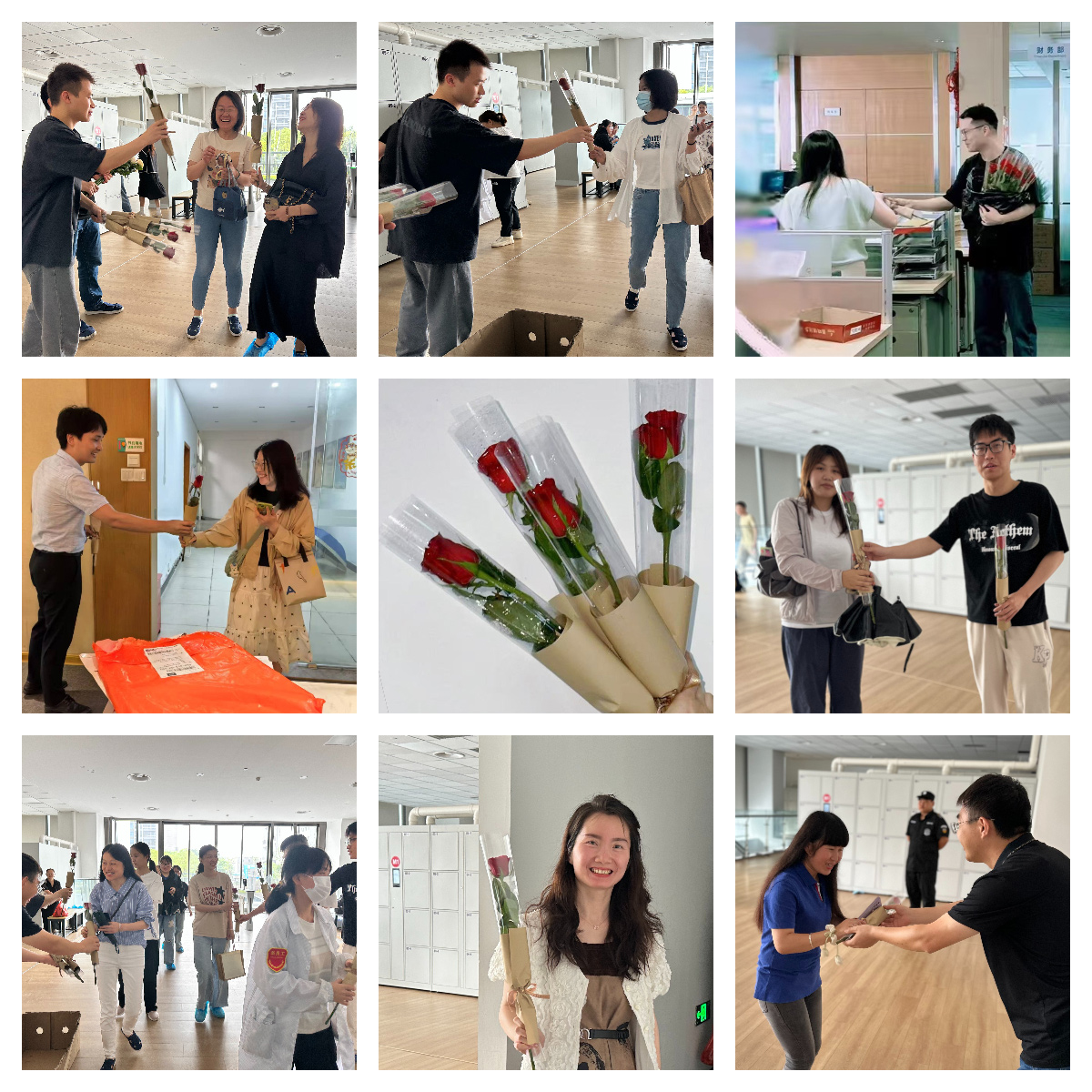 以玫瑰之名，致敬每一個發(fā)光的你(圖2)